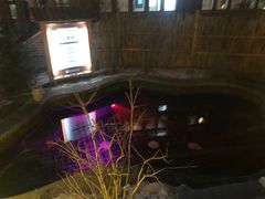 -白桦林温泉谷
