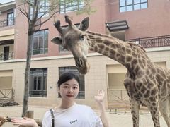 -灵玲国际马戏城