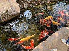 -罗红摄影艺术馆