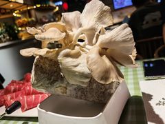 -番食园鲜食火锅(高新店)