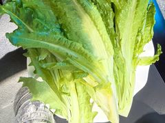 -俏媳妇火锅(宽窄巷子店)