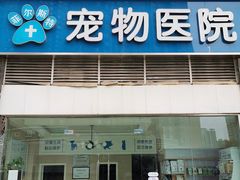 -菲尔斯特宠物医院
