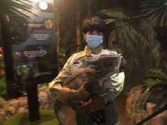 -侏罗纪世界电影特展(广州站)