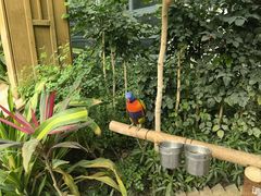 -南宫五洲植物乐园