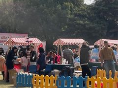 -中国福利会少年宫