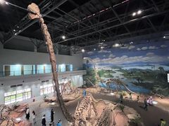 -自贡恐龙博物馆