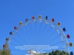 -上海野生动物园