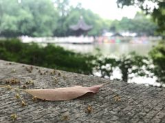 -汇龙潭
