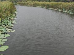 -同里国家湿地公园