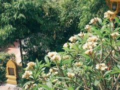 -西双版纳总佛寺