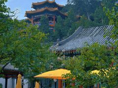 -宫事颐庭·老佛爷贵寿下午茶(颐和园店)