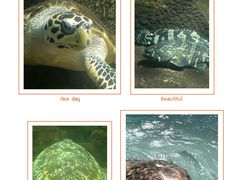 -青藏高原野生动物园