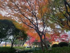 -上海不夜城广场(上海不夜城金融大厦店)