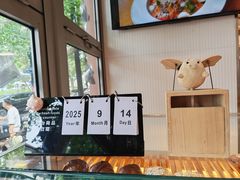 -WHEN PIGS FLY当猪飞