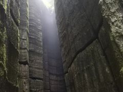 -梦幻奥陶纪景区