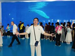 -泉城欧乐堡海洋极地世界