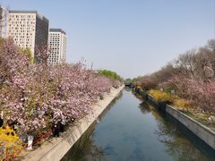 -海棠花溪(元大都城垣遗址公园)