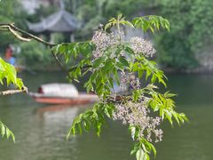 -绍兴东湖风景区