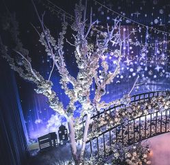 -静安洲际酒店·宴会厅