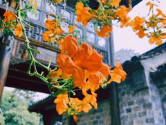 -老门东历史文化街区