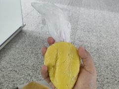 -广州白云国际机场-T2航站楼