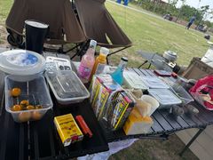 -春花秋色城市公园