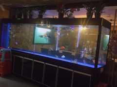 -润青四季音乐主题餐厅·椰子鸡(罗湖店)