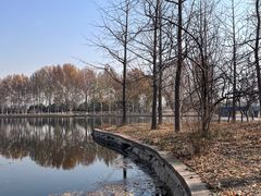 -石家庄市植物园