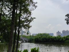 -江心屿景区
