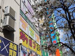 -秋叶原电器街