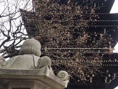 -医王山·飞騨国分寺