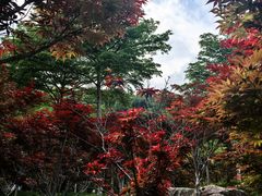 -广州市帽峰山景区