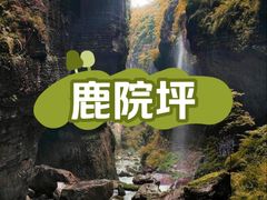 -鹿院坪生态旅游景区