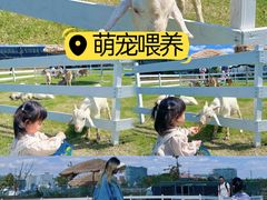 -上海山野camping·户外天幕烧烤·团建拓展营地