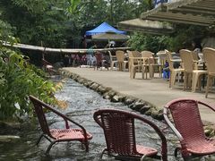 -源泉冷水鱼庄(小鱼洞店)