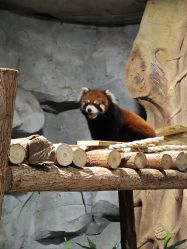 -Zoolung Zoolung动物主题公园(海信广场店)