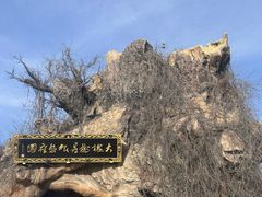-大槐树寻根祭祖园