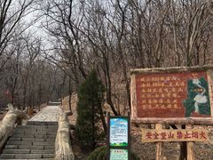 -金龙寺国家森林公园
