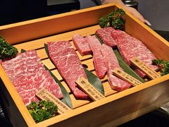 -火浪壹 by tigergrill(33小镇店)