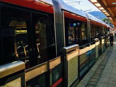 -国家植物园(地铁站)