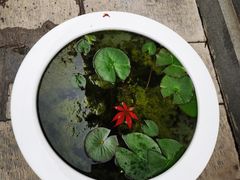 -西安市广仁寺