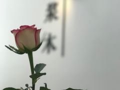 -浆木咖啡馆(湘子庙街店)