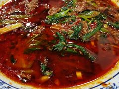-易老妈蹄花.特色川菜(人民公园总店)