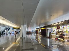-河内内排国际机场