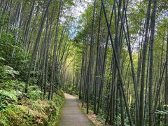 -千泷沟大瀑布旅游区