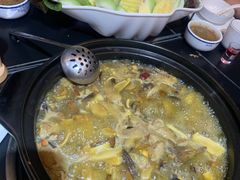 -野菌皇海景野生菌火锅(滨海大道店)