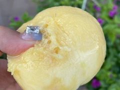 -老袁家蜜桃农场·阳山水蜜桃