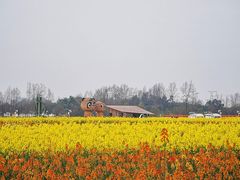 -中国天府农业博览园