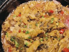 -洞庭家宴·头牌甲鱼(广渠门店)
