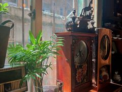 -樹下遇见树·咖啡